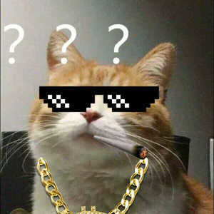 Meet your Posher, Yiting